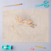 Studie eines Crouching Fox (von John Frederick Lew Seidenpapier (Basteln)