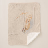 Studie eines Crouching Fox (von John Frederick Lew Sherpadecke (Vorderseite)