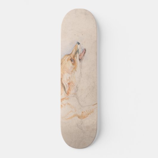 Studie eines Crouching Fox (von John Frederick Lew Skateboard (Vorderseite)