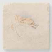 Studie eines Crouching Fox (von John Frederick Lew Steinuntersetzer (Vorderseite)