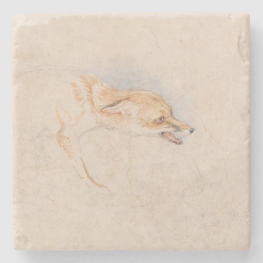 Studie eines Crouching Fox (von John Frederick Lew Steinuntersetzer (Vorderseite)