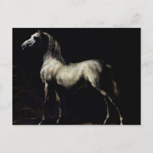 Studie eines Daple Gray Postkarte