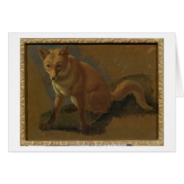 Studie eines Fox (Öl auf Platte) (Vorderseite (Horizontal))