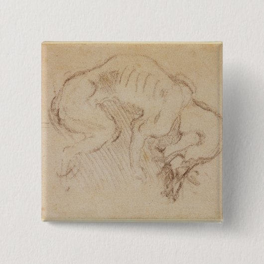 Studie eines Hundes Button (Vorderseite)