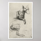 Studie eines Hundes, Leonardo Da Vinci Poster (Vorne)