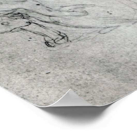 Studie eines Hundes und einer Katze, c.1480 Poster (Ecke)