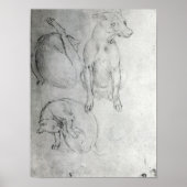 Studie eines Hundes und einer Katze, c.1480 Poster (Vorne)