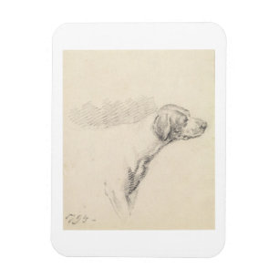 Studie eines Jagdhundes, 1794 (Bleistift auf Magnet