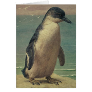 Studie eines Pinguins