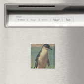 Studie eines Pinguins Magnet (In Situ (Geschirrspüler))