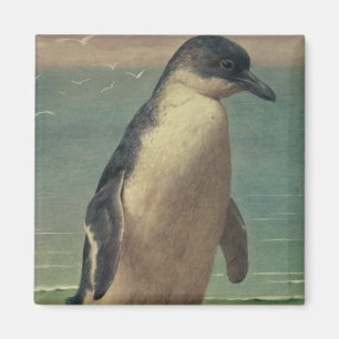 Studie eines Pinguins Magnet