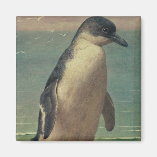 Studie eines Pinguins Magnet (Vorne)