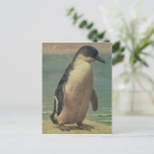 Studie eines Pinguins Postkarte (Stehend Vorderseite)