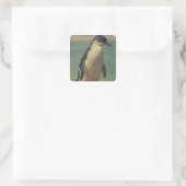 Studie eines Pinguins Quadratischer Aufkleber (Tasche)