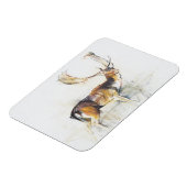 Studie eines Stags Magnet (Linke Seite)