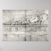 Studie eines Stammbaums des Parthenon Poster (Vorne)