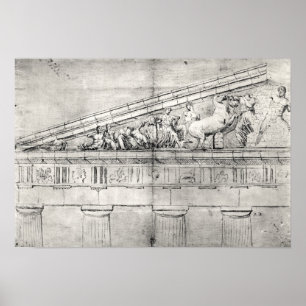 Studie eines Stammbaums des Parthenon Poster