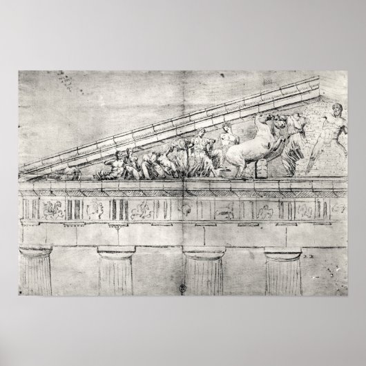 Studie eines Stammbaums des Parthenon Poster (Vorne)