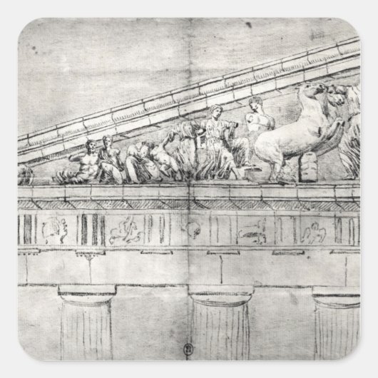 Studie eines Stammbaums des Parthenon Quadratischer Aufkleber (Vorderseite)