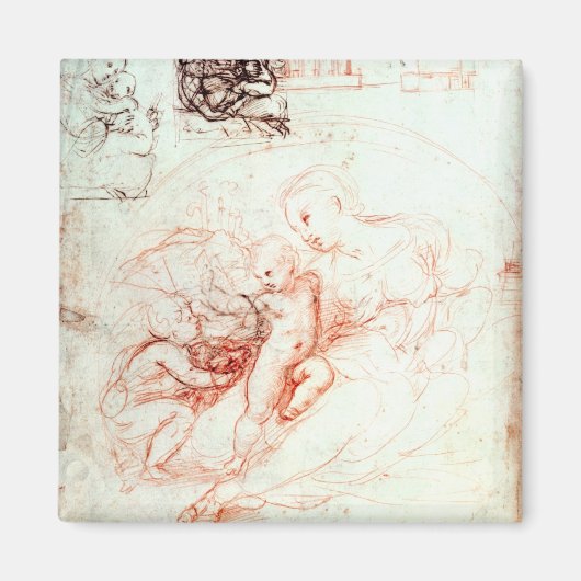 Studie für die Alba Madonna, c.1508-09 Magnet (Vorne)