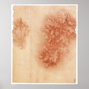 Studie für die verlorene Malerei, Leda, Da Vinci Poster