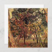 Studie Pine Trees von Vincent van Gogh (Vorne/Hinten)