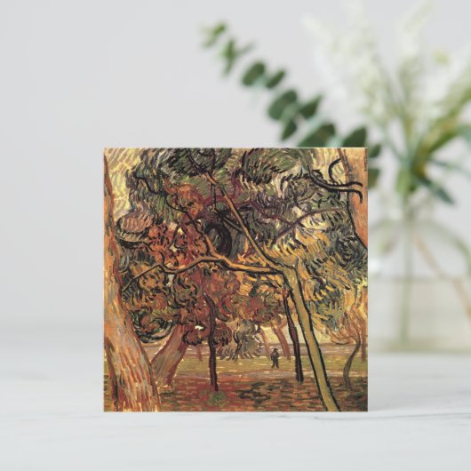 Studie Pine Trees von Vincent van Gogh (Stehend Vorderseite)