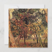 Studie Pine Trees von Vincent van Gogh (Vorderseite)