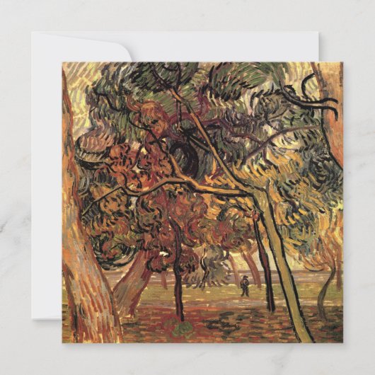 Studie Pine Trees von Vincent van Gogh (Vorderseite)