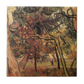 Studie Pine Trees von Vincent van Gogh Fliese (Vorderseite)