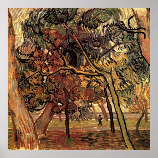 Studie Pine Trees von Vincent van Gogh Poster (Vorne)