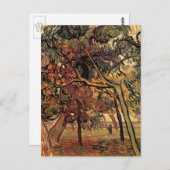 Studie Pine Trees von Vincent van Gogh Postkarte (Vorne/Hinten)