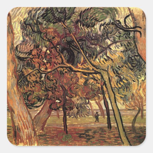 Studie Pine Trees von Vincent van Gogh Quadratischer Aufkleber (Vorderseite)