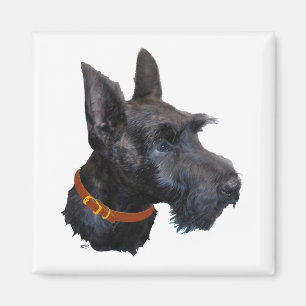 Studie über den Kopf eines Schottischen Terriers Magnet
