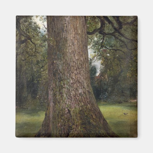 Studie über den Stamm eines Elm Tree, c.1821 (Öl a Magnet (Vorne)
