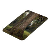 Studie über den Stamm eines Elm Tree, c.1821 (Öl a Magnet (Linke Seite)