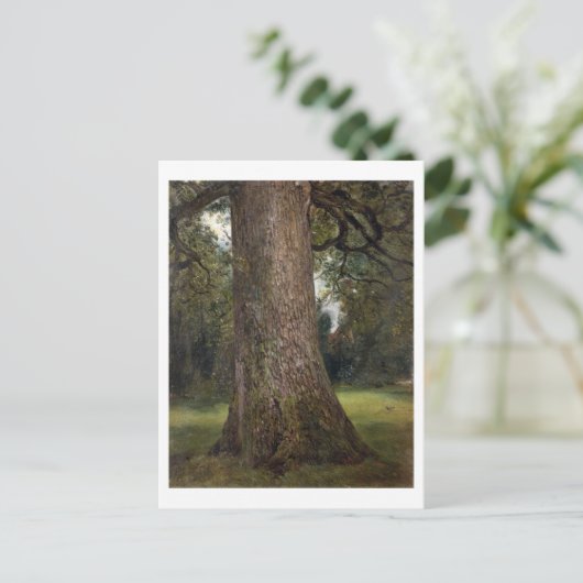 Studie über den Stamm eines Elm Tree, c.1821 (Öl a Postkarte (Stehend Vorderseite)