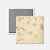 Studie über die Blume von grasähnlichen Pflanze (B Magnet (Vorderseite/Rückseite)