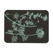 Studie über die Minze und die Kohle - Natur IV Magnet (Horizontal)