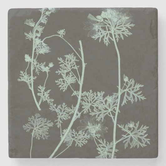 Studie über die Minze und die Kohle - Natur IV Steinuntersetzer (Vorderseite)