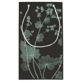 Studie über die Minze- und Kohlenatur I Kleine Geschenktüte (Rückseite)