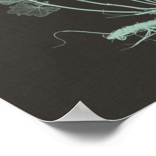 Studie über die Minze- und Kohlenatur I Poster (Ecke)