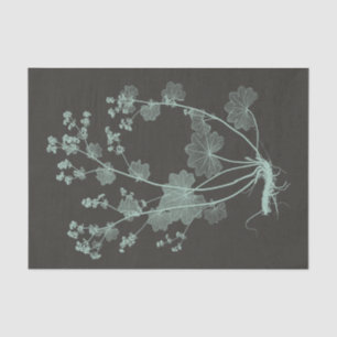 Studie über die Minze- und Kohlenatur I Seidenpapier