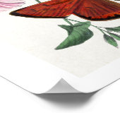 Studie über die Schmetterlinge aus dem Blut von Pa Poster (Ecke)