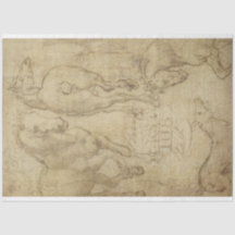 Studie über ein Pferdededeckungspapier