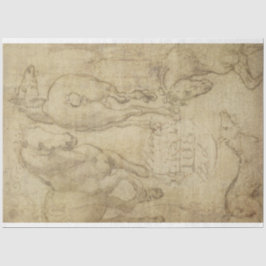 Studie über ein Pferdededeckungspapier Seidenpapier