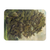Studie über eine Asche Tree, c.1851 (Öl auf Papier Magnet (Horizontal)