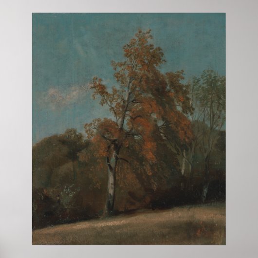 Studie über einen Ash Tree - John Constable Poster (Vorne)