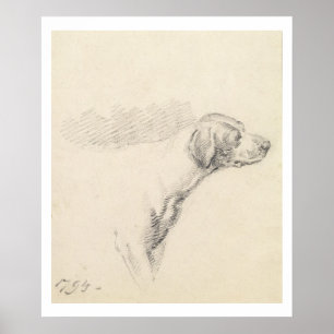 Studie über einen Hund, 1794 (Bleistift auf Papier Poster