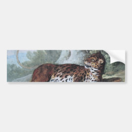 Studie über einen Leopard (von Jean-Baptiste Oudry Autoaufkleber